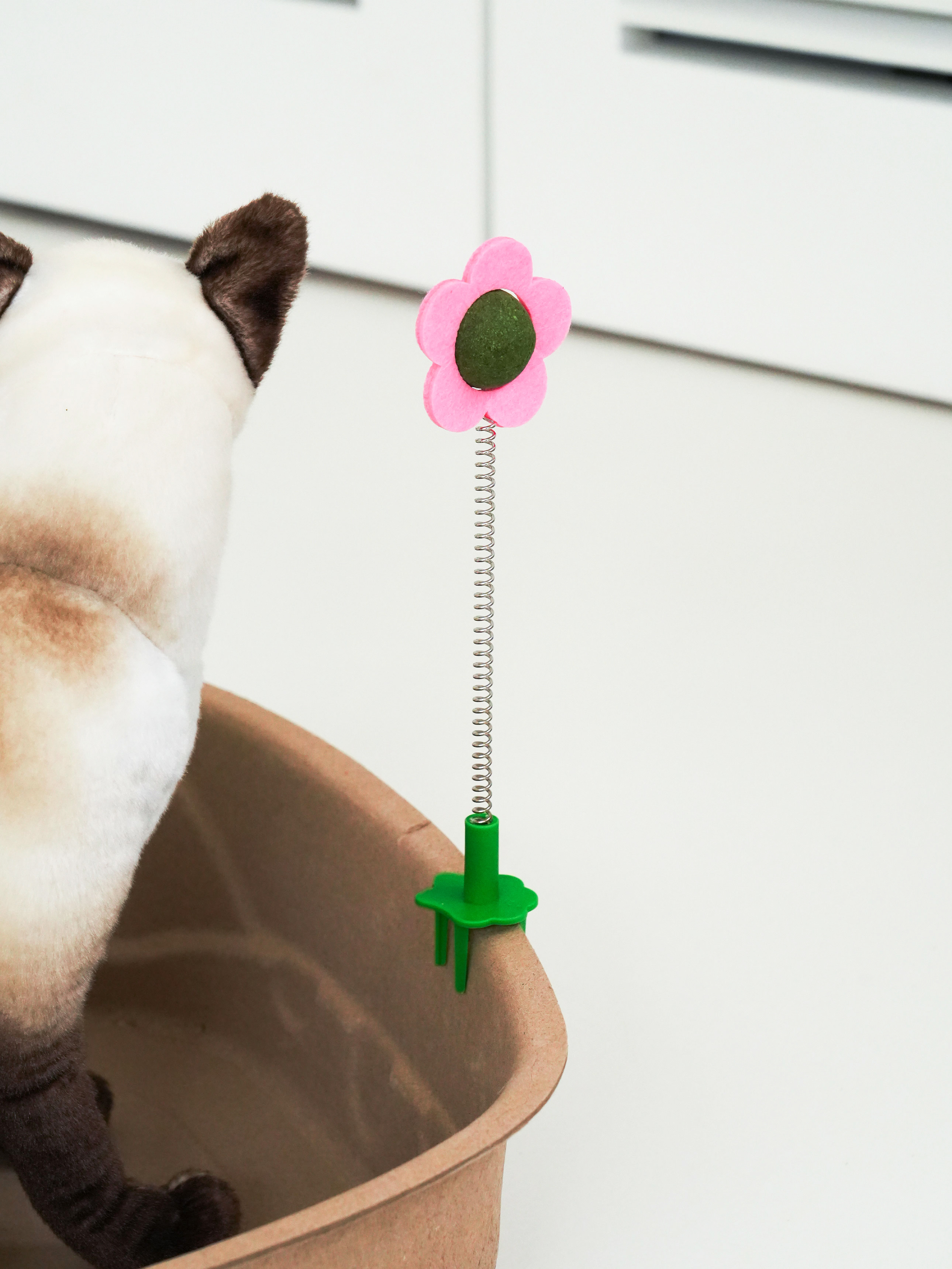 [펫] 고양이 스크래처용 캣닢 사탕