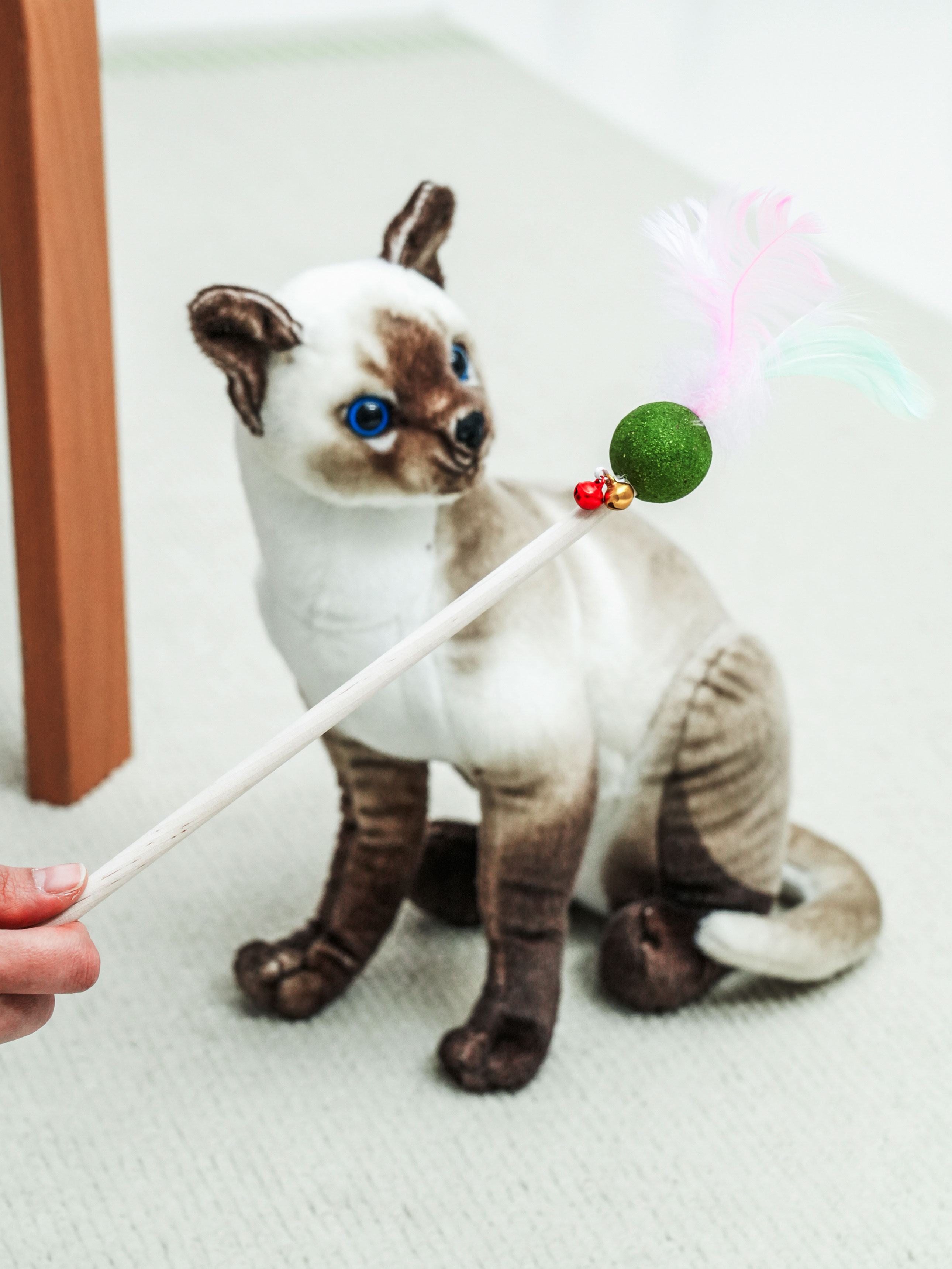 [Питомец] Леденец с кошачьей мятой и перьями