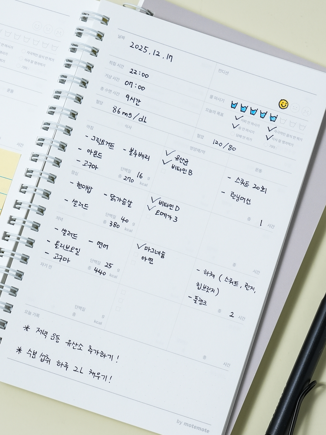 모트모트 스프링 건강 플래너 64매입