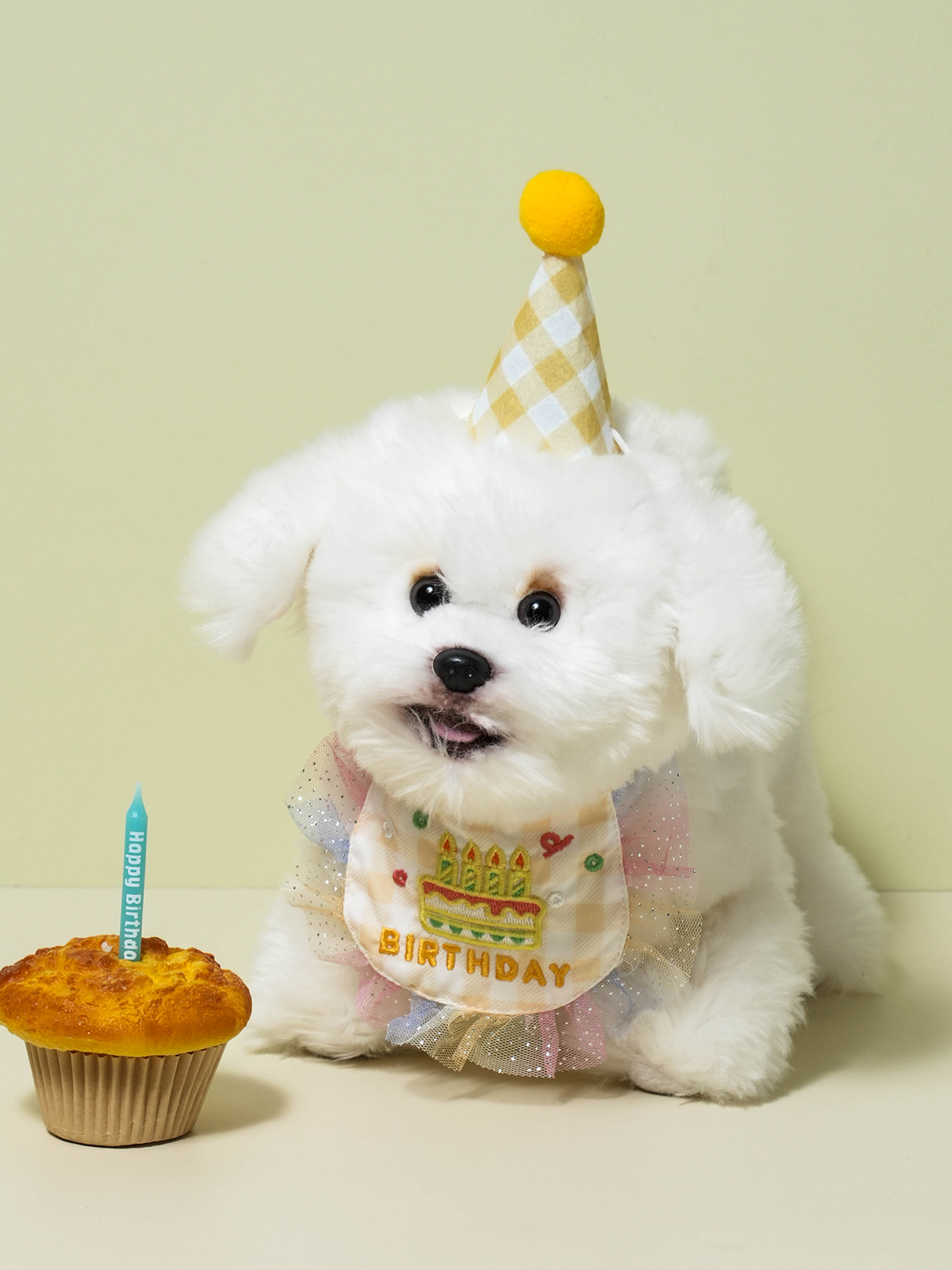 [펫] 생일 고깔모자＆턱받이 세트