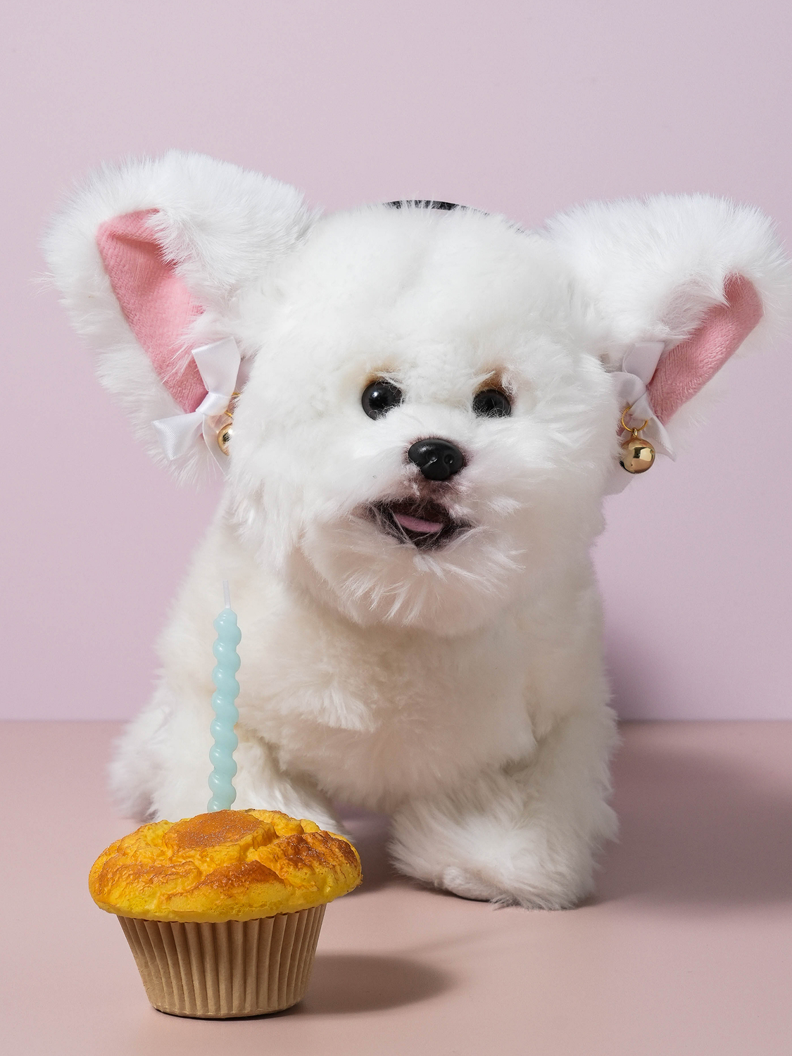 고양이 머리띠 화이트