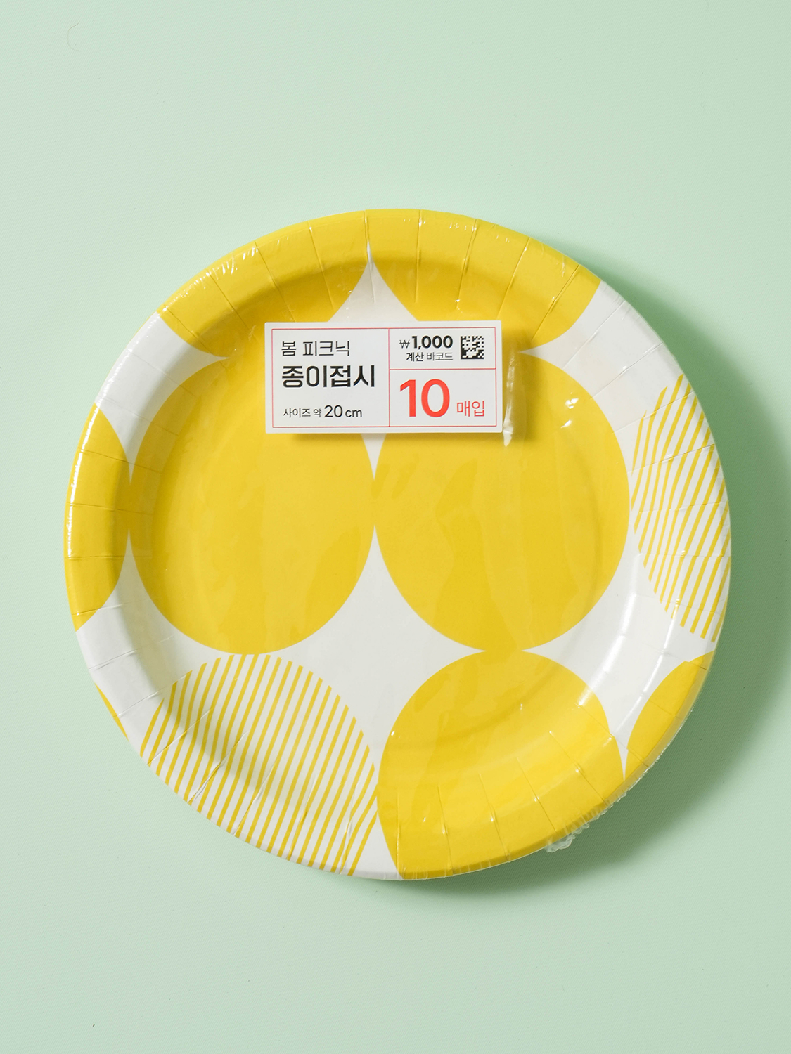 봄피크닉 디자인 종이 접시 20 cm 10매입
