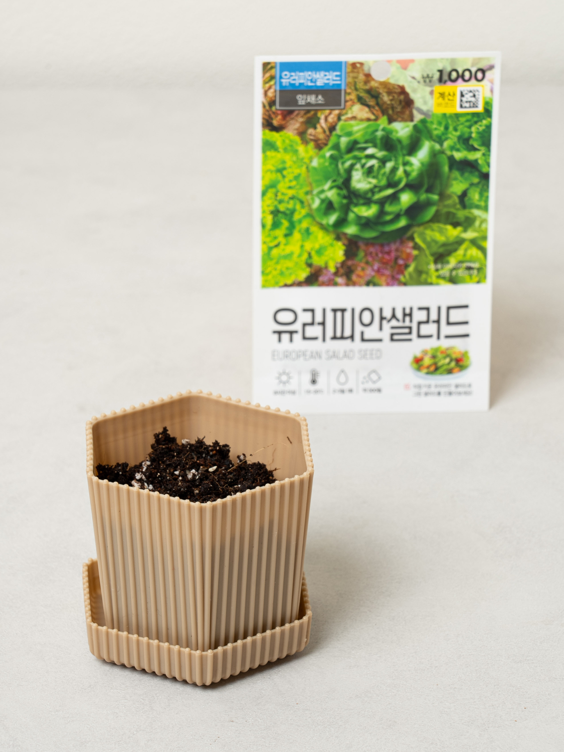초록스타 유러피안 샐러드 씨앗