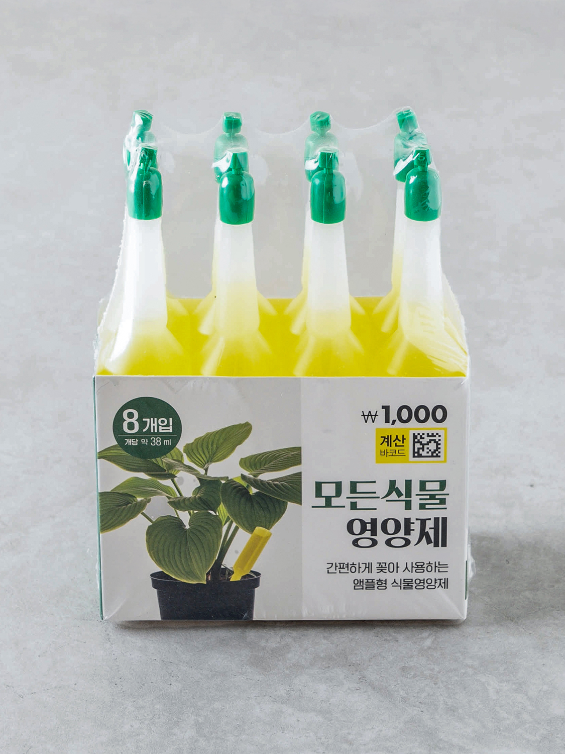 식물영양제 모든식물용 8P