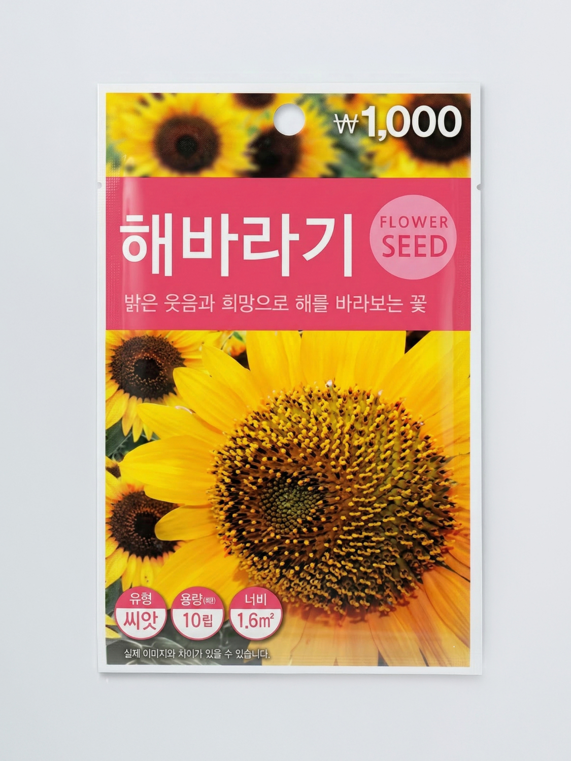 초록스타 해바라기 씨앗