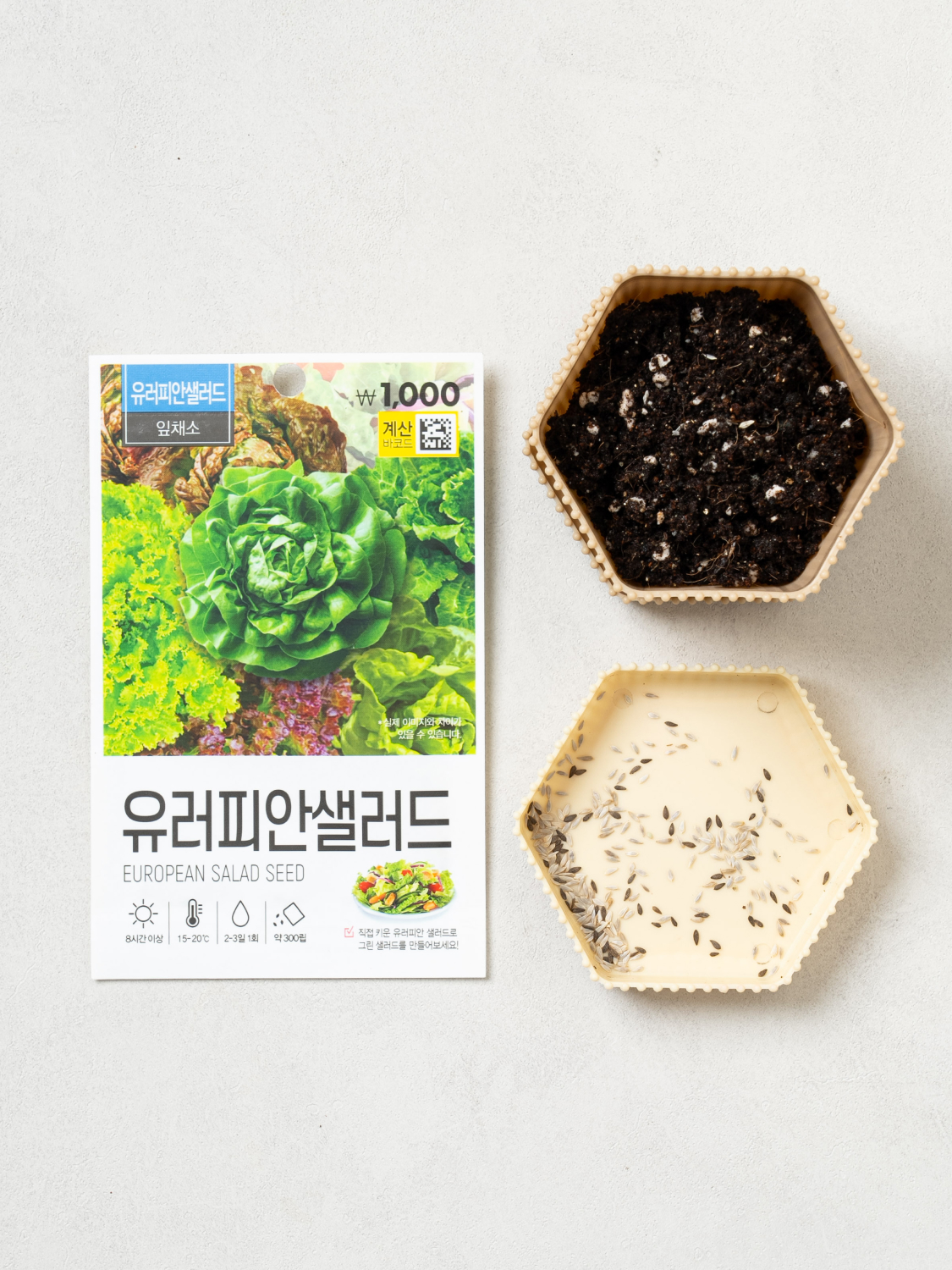 초록스타 유러피안 샐러드 씨앗
