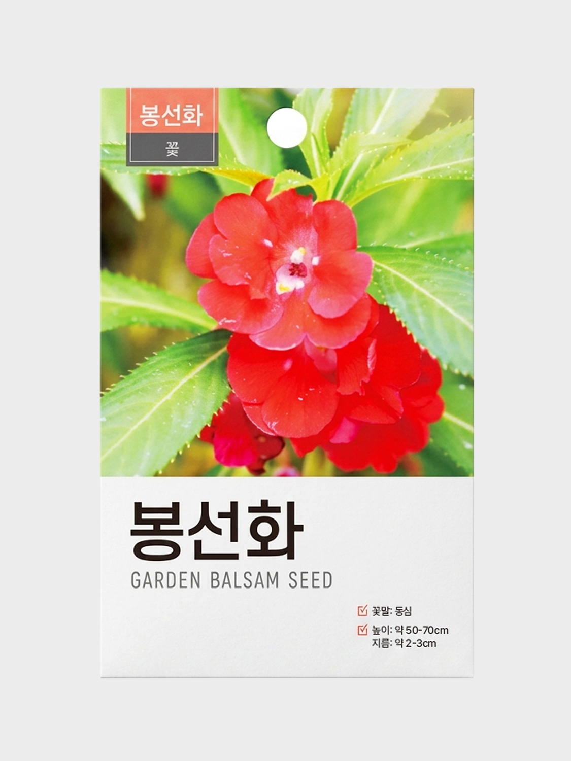 초록스타 봉선화 씨앗