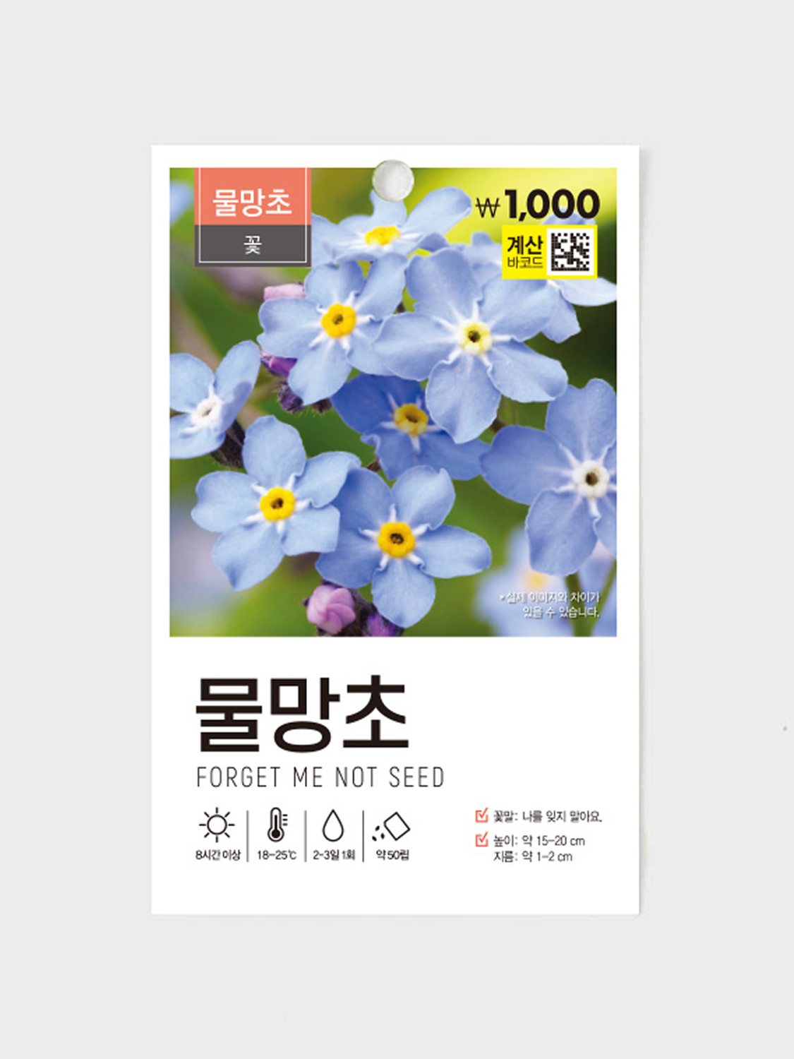 초록스타 물망초