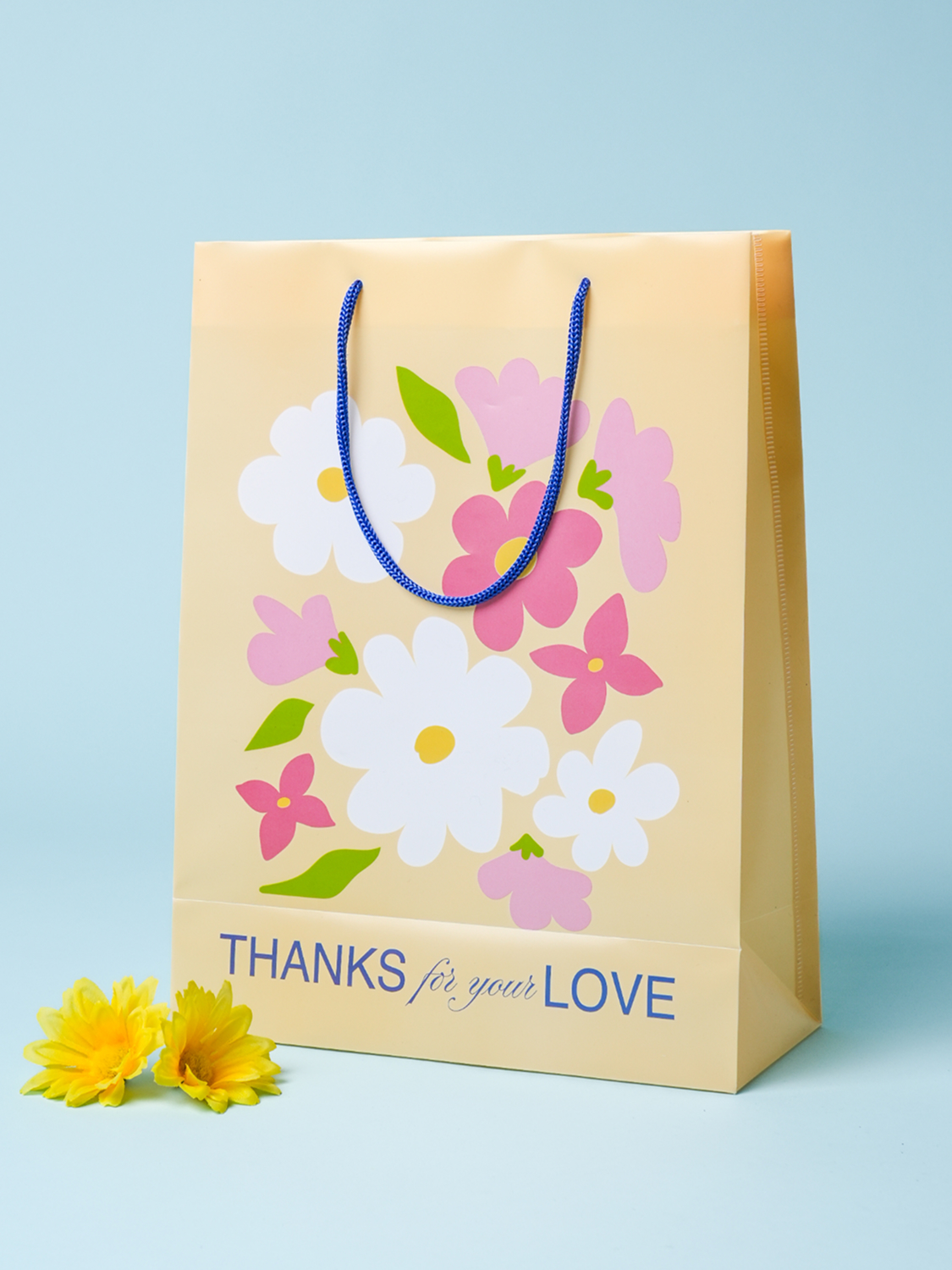 PP 쇼핑백 25 X 33 cm