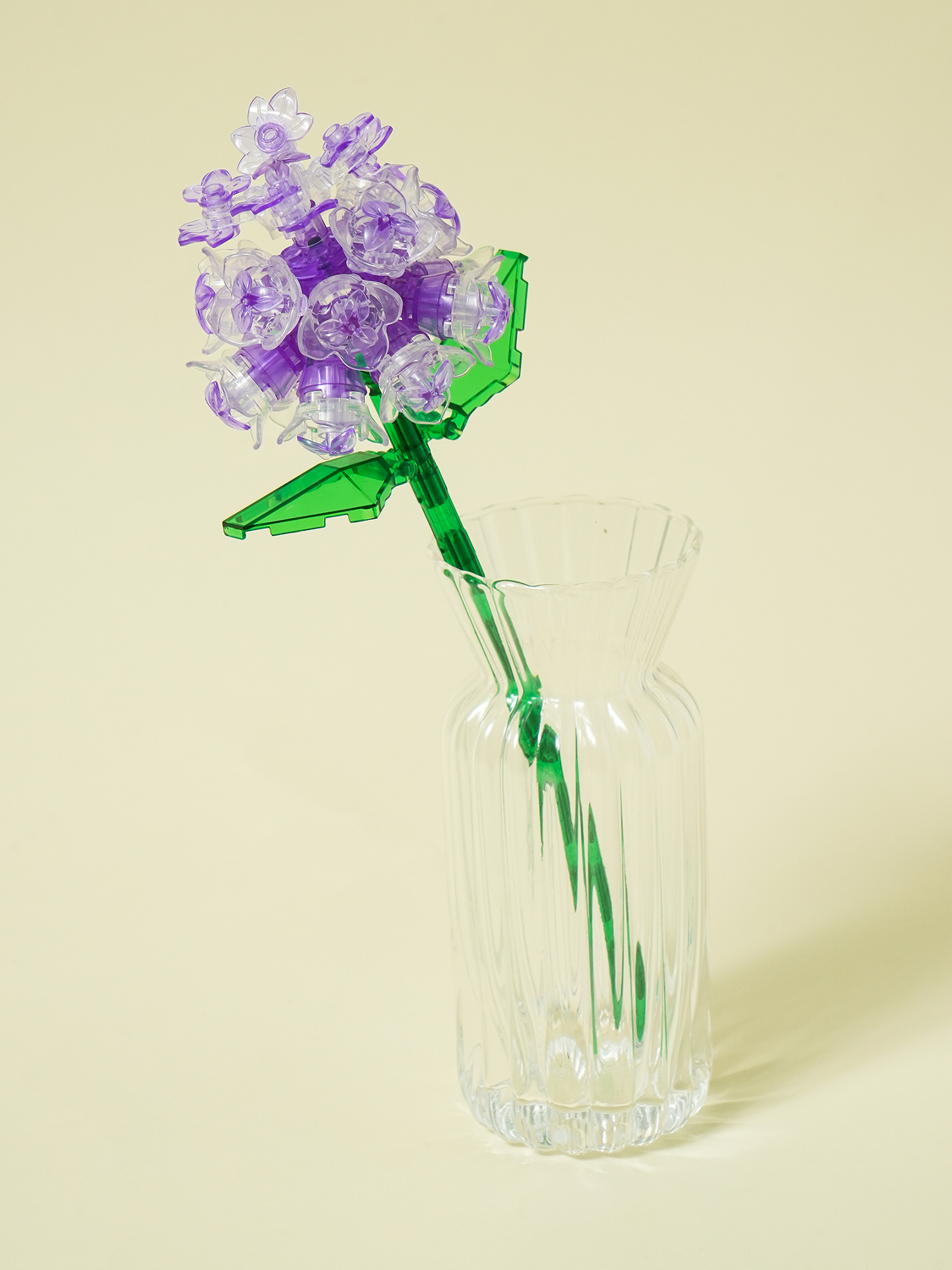 투명 꽃 블록 수국