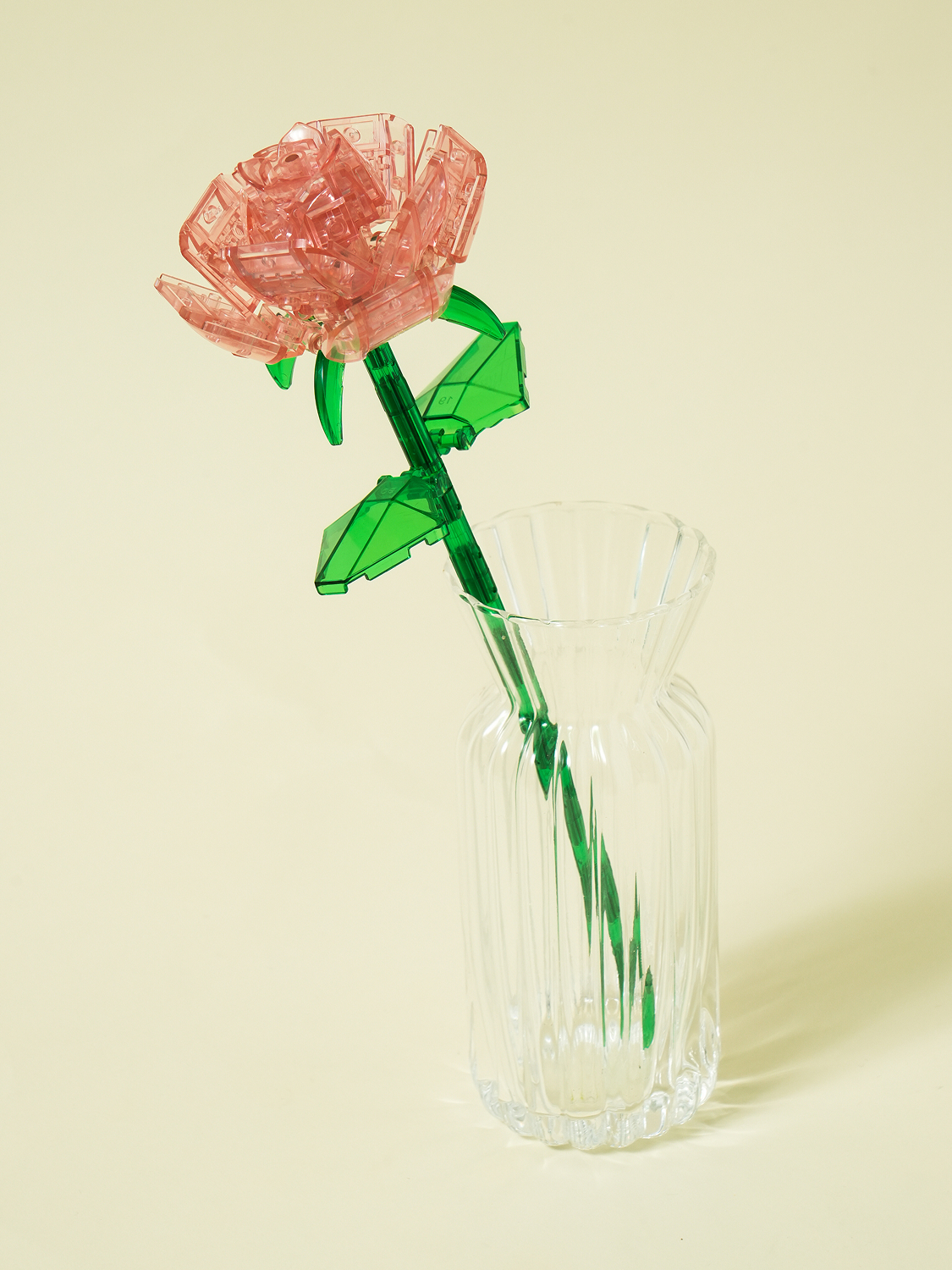 투명 꽃 블록 핑크 장미