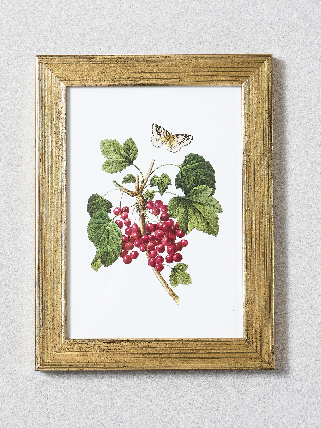 유광 테두리 액자 12.7 X 17.8 cm 골드