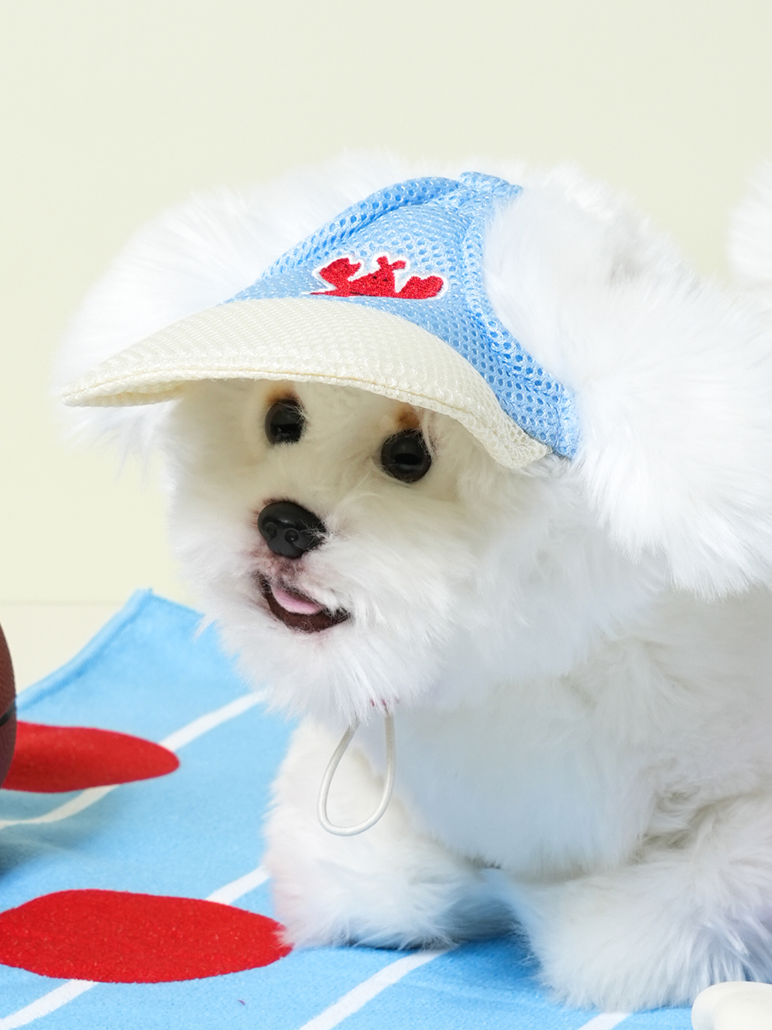 [펫] 와여름 파스텔 메시 캡모자 가재