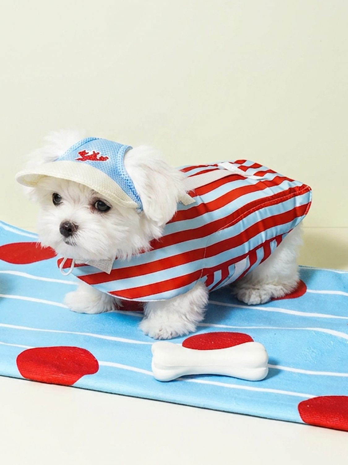 [펫] 와여름 물놀이 조끼 M