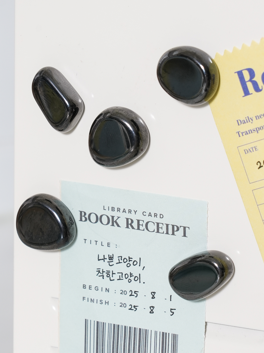 조약돌 모양 자석 10개입