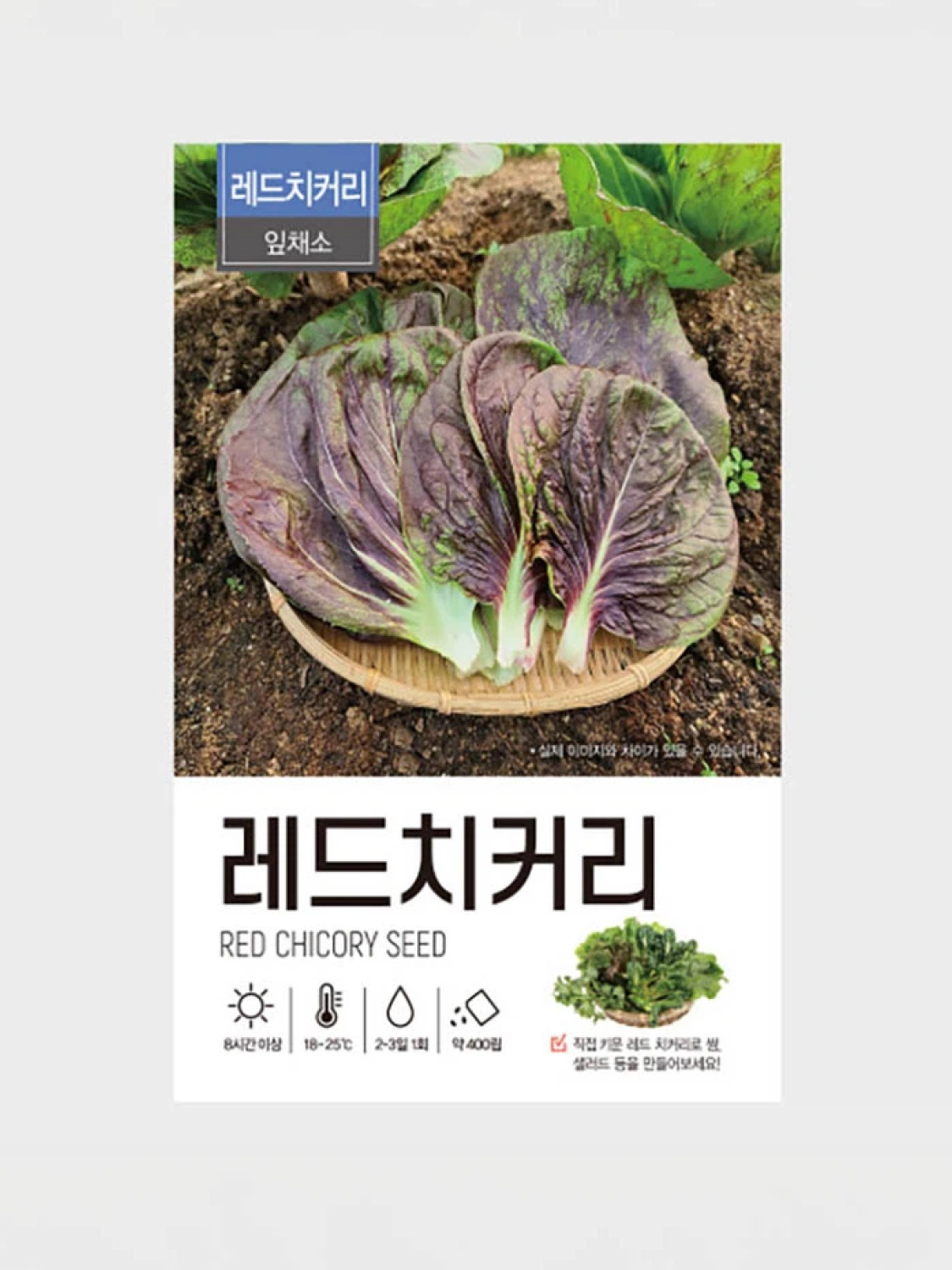 초록스타 레드 치커리 씨앗
