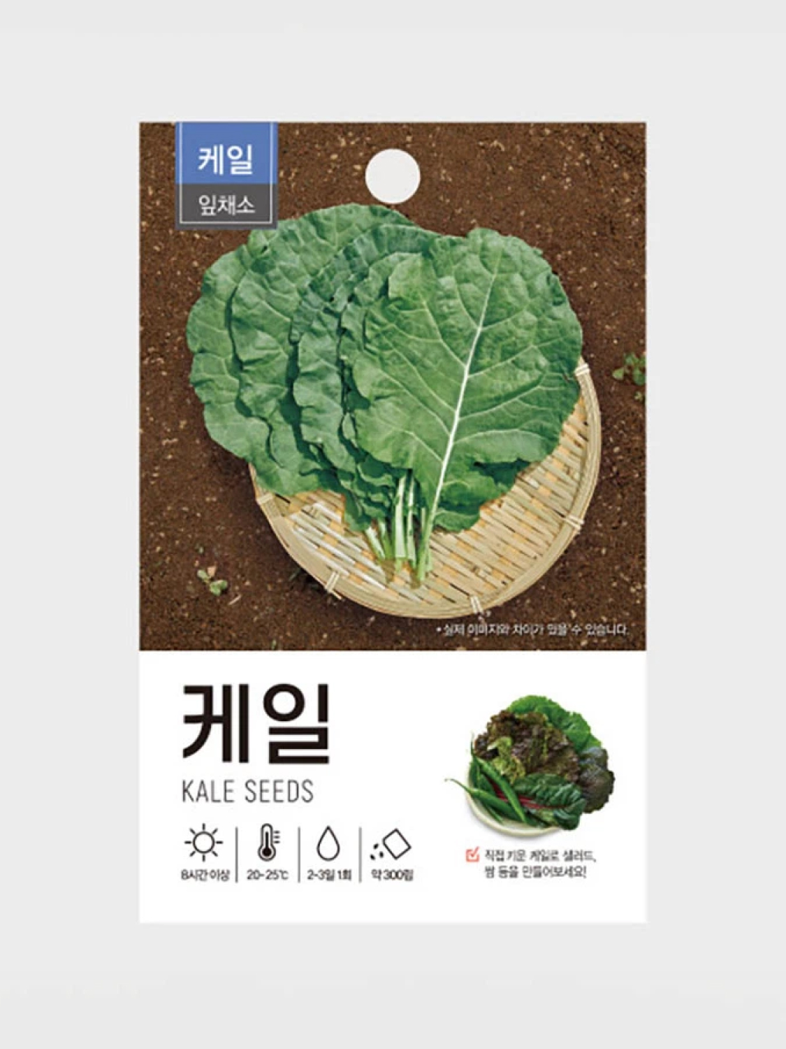 초록스타 케일