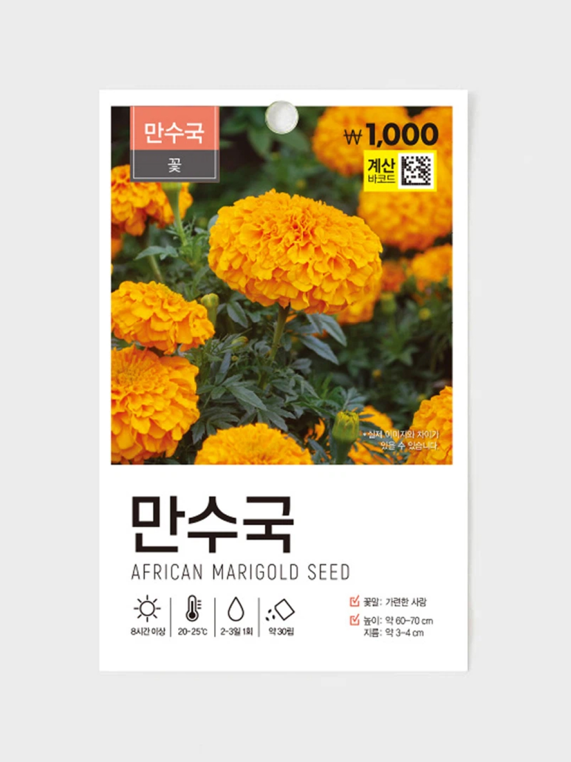 초록스타 메리골드