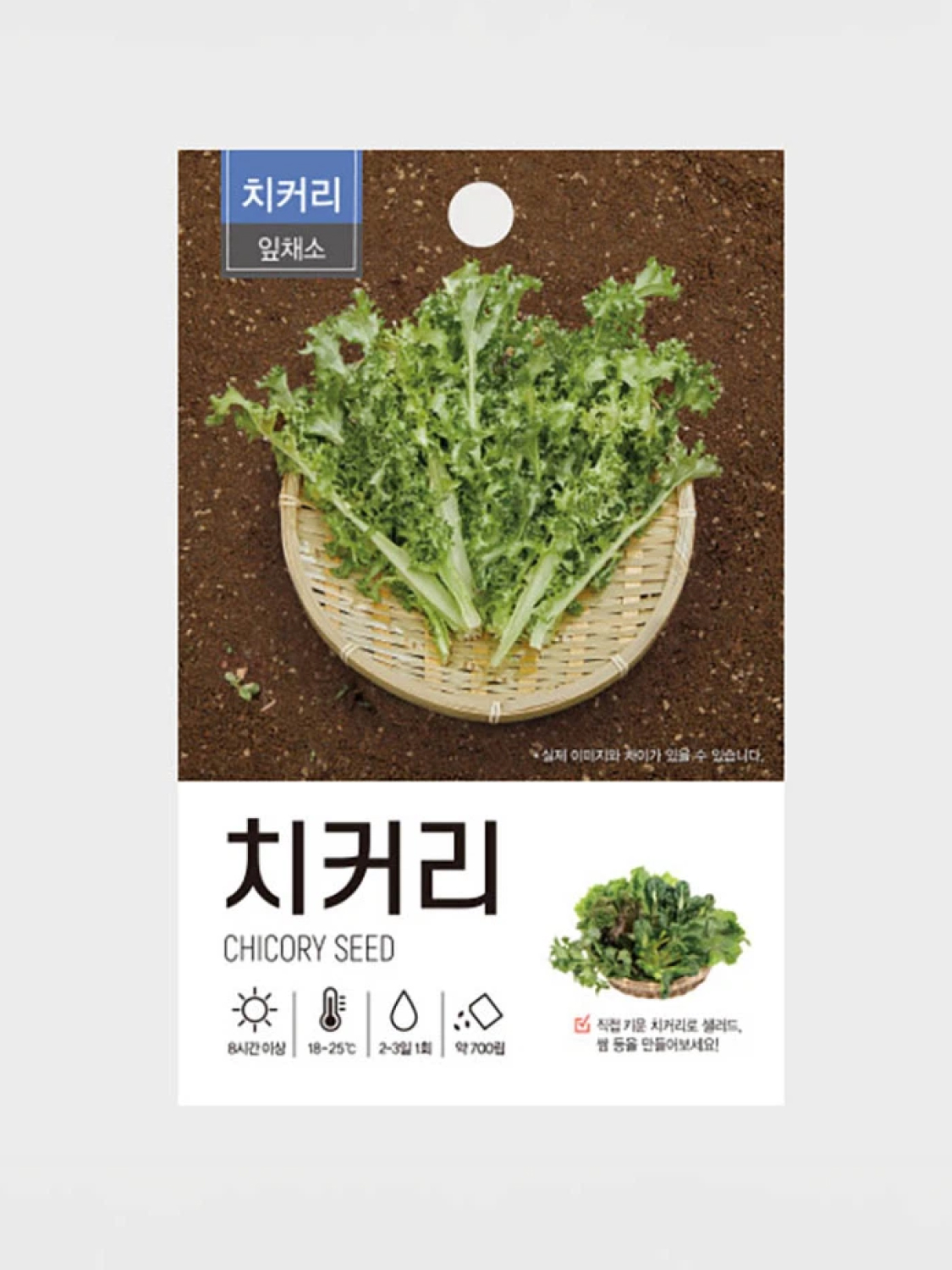 초록스타 치커리 씨앗
