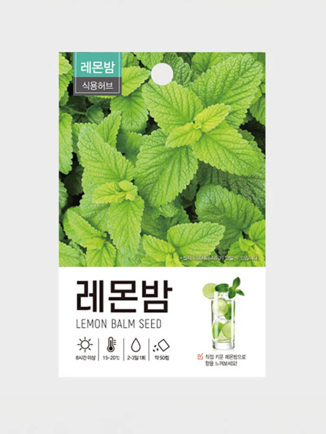 초록스타 레몬밤 씨앗