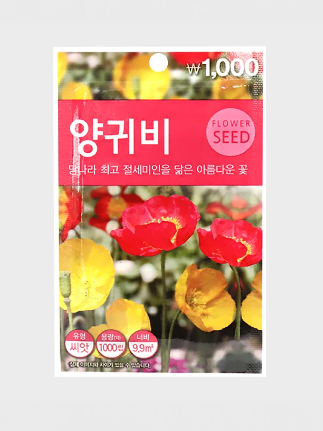 초록스타 양귀비 씨앗