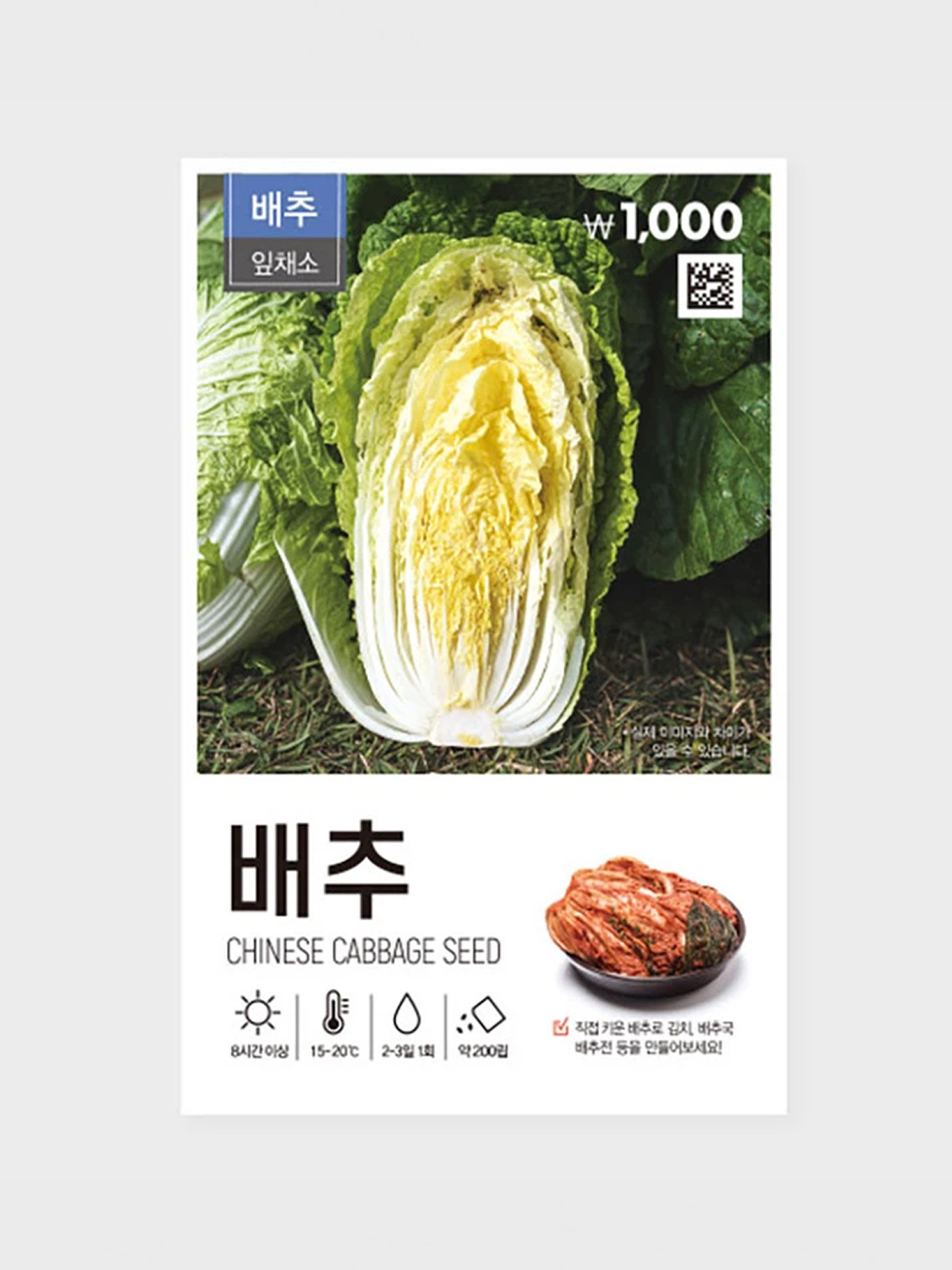 초록스타 김장용 배추 씨앗