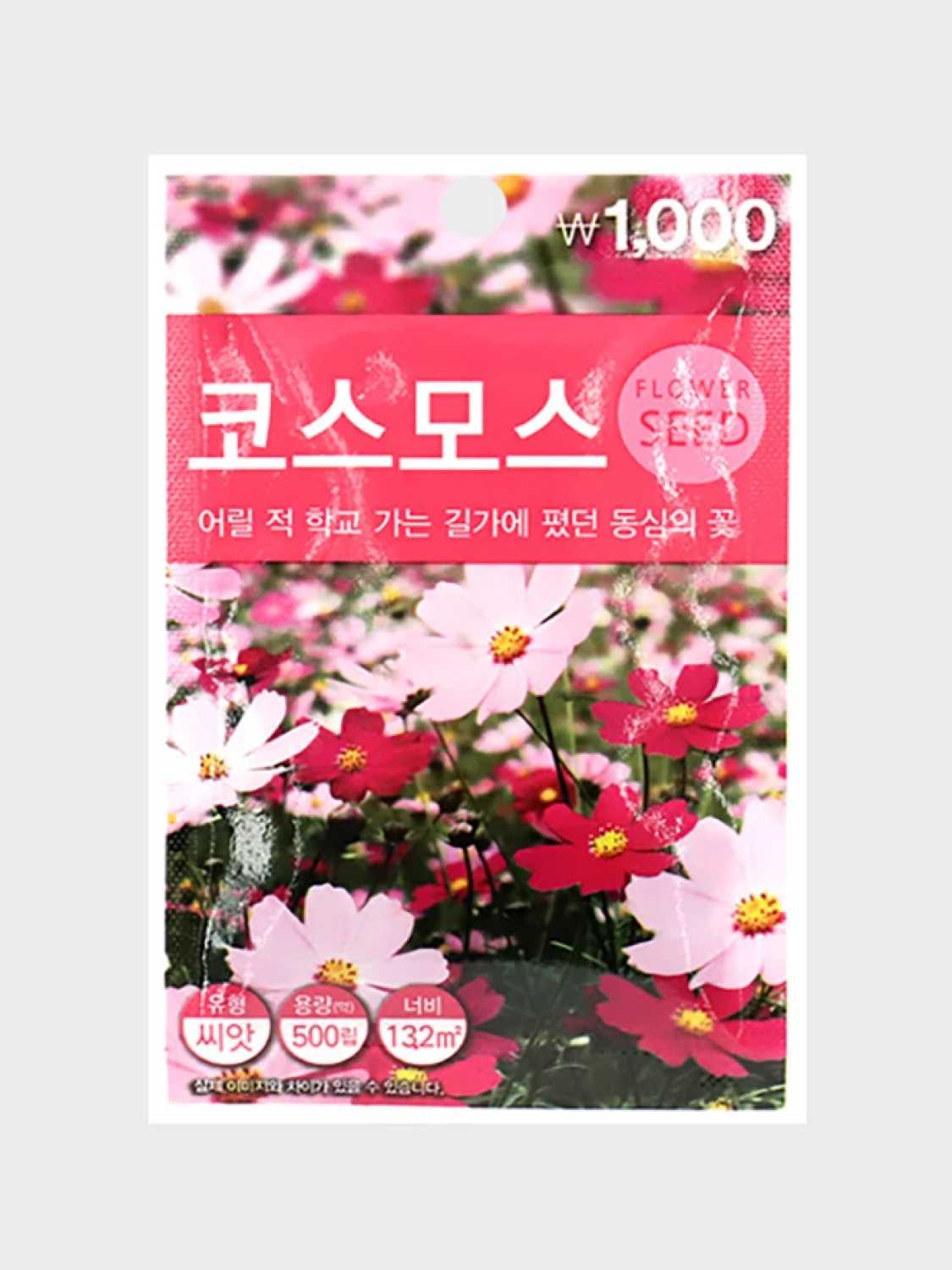 초록스타 코스모스 씨앗