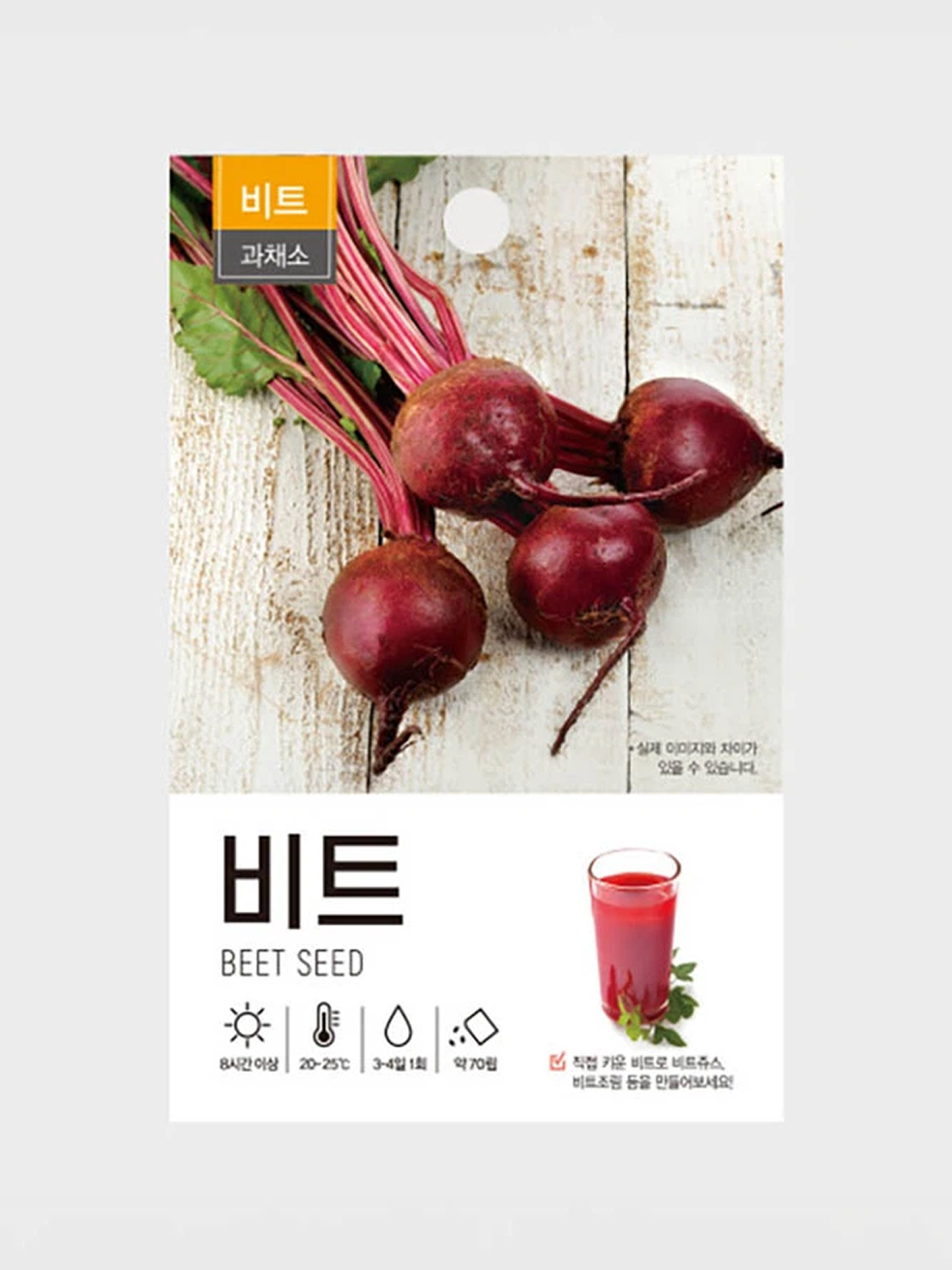 초록스타 비트 씨앗