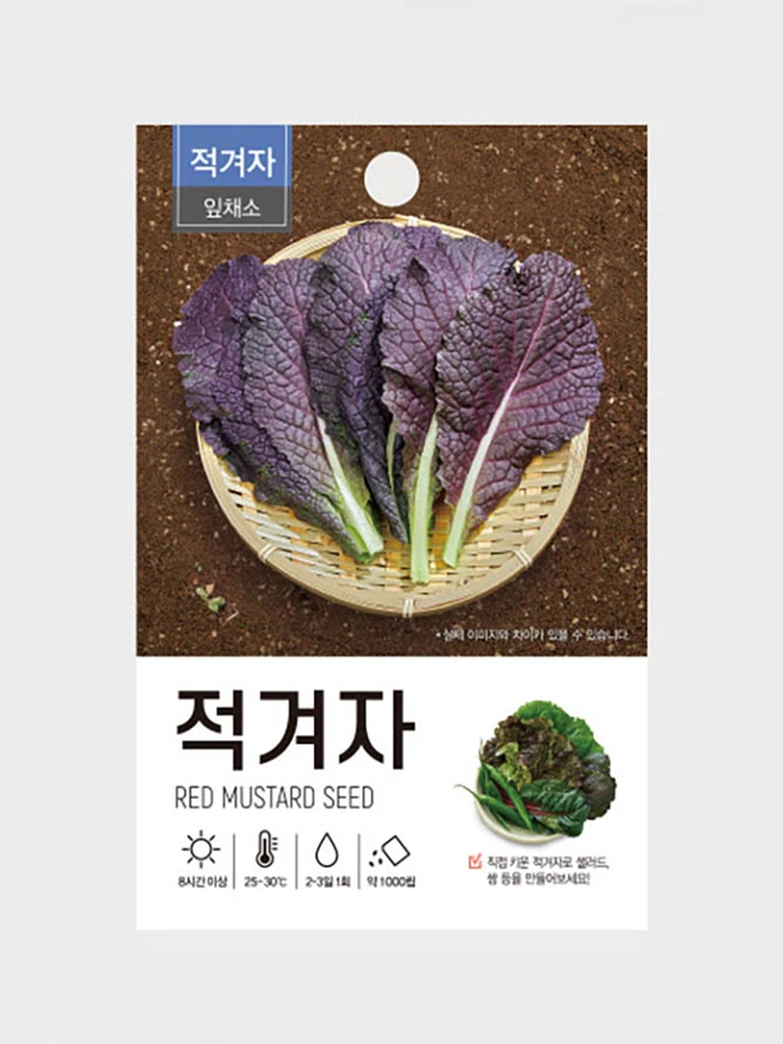 초록스타 적겨자 씨앗