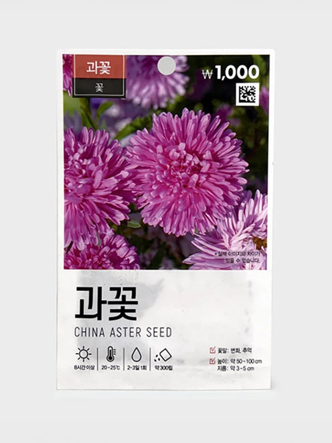 초록스타 과꽃 씨앗