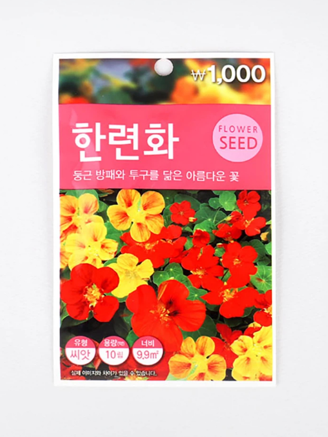 초록스타 한련화 씨앗