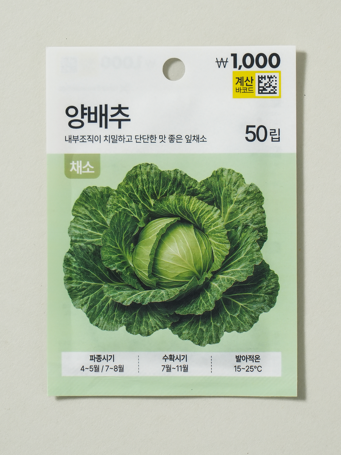 초록스타 양배추 씨앗