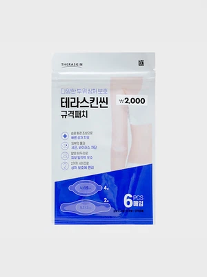 테라스킨 규격 패치 혼합형 6매입