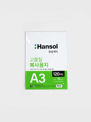 A3 복사용지 75g (120매입)