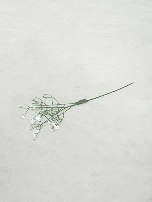 베이직 안개꽃