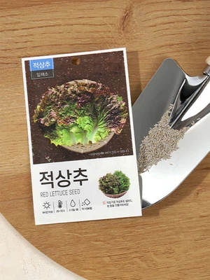초록스타 적상추 씨앗