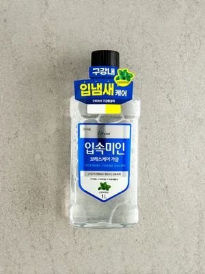 입속미인 브레스 케어 가글 1 L 민트