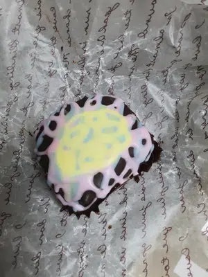 买家评价图片