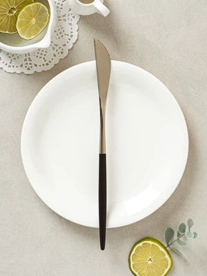 블랙 분체 양식기 나이프