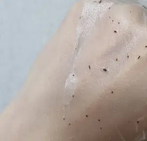 买家评价图片