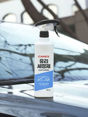 카렉스 유리 세정제 750 ml