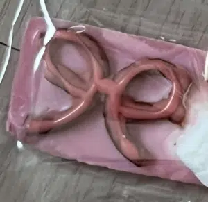 买家评价图片