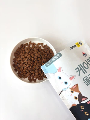 [펫] 사조 케어캣 올라이프 500 g