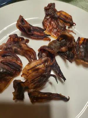 买家评价图片