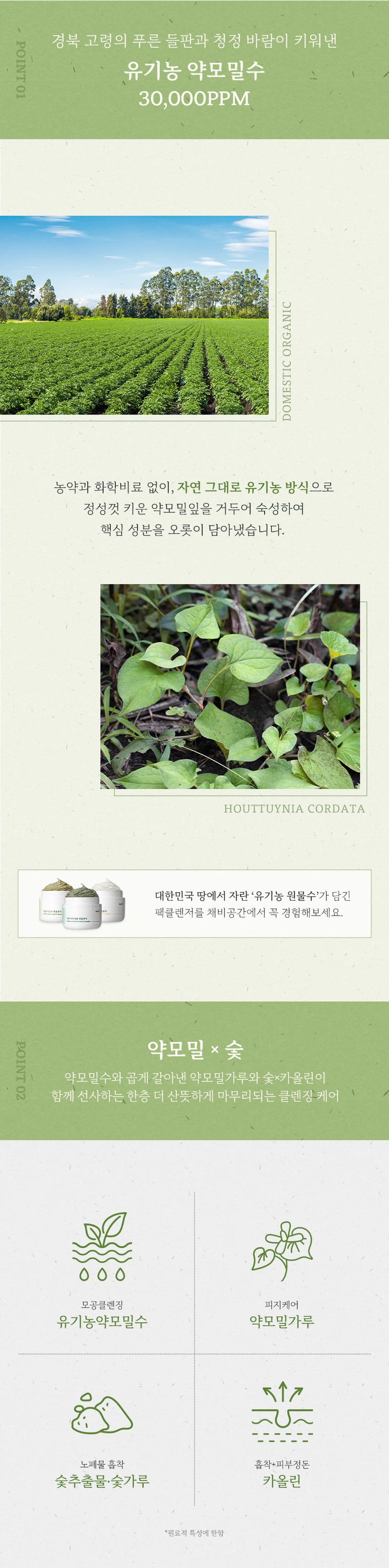 CHAEBGONGGAN Cheong片鱼腥草 Paekkeulrenjeo 面膜45g source detail 2
