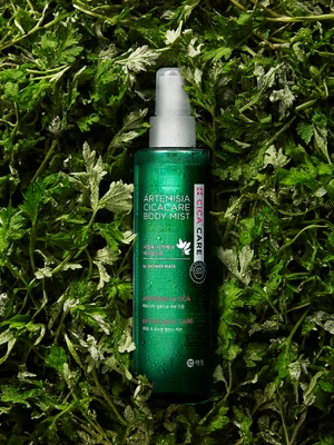 샤워메이트 사철쑥 시카 케어 바디 미스트 200 ml