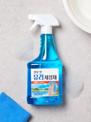 초강력 유리 세정제 750 ml