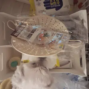 买家评价图片