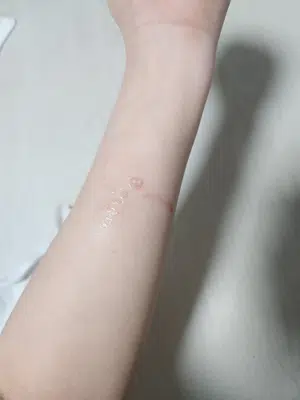 买家评价图片