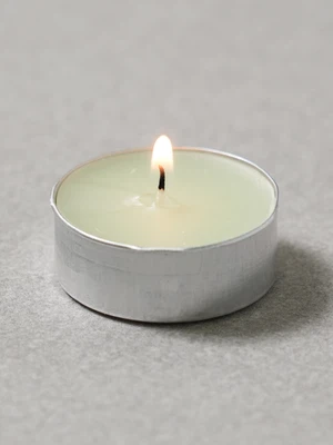 컬러 티캔들 버베나 향 12 g 40개입